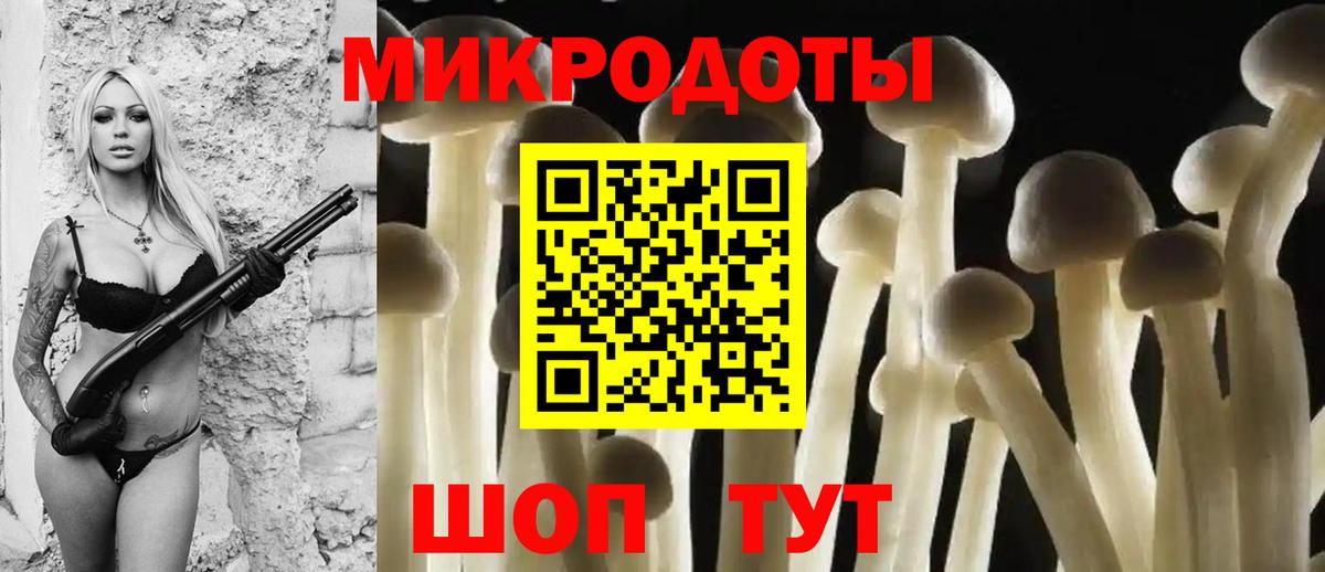 Псилоцибиновые грибы GOLDEN TEACHER  Псилоцибиновые грибы GOLDEN TEACHER  Вход с VPN  Батайск 