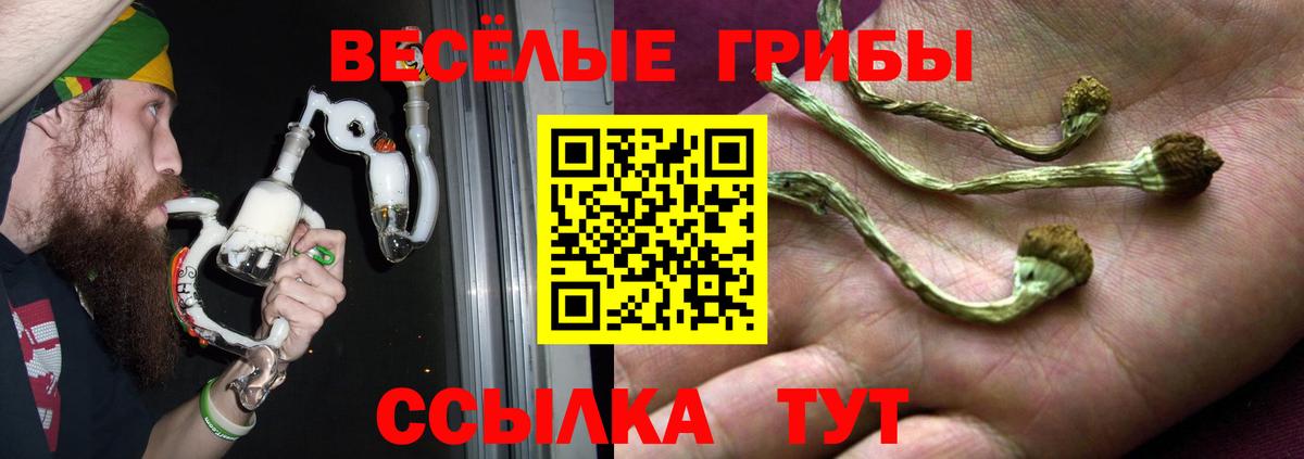 Галлюциногенные грибы GOLDEN TEACHER Батайск